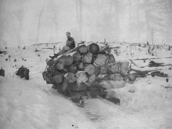 Logger seated on log pile below a cleared hillside in Canton