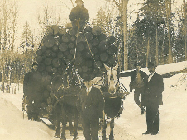 Teamster with a large load of pulpwood pulled by team of horses in Canton