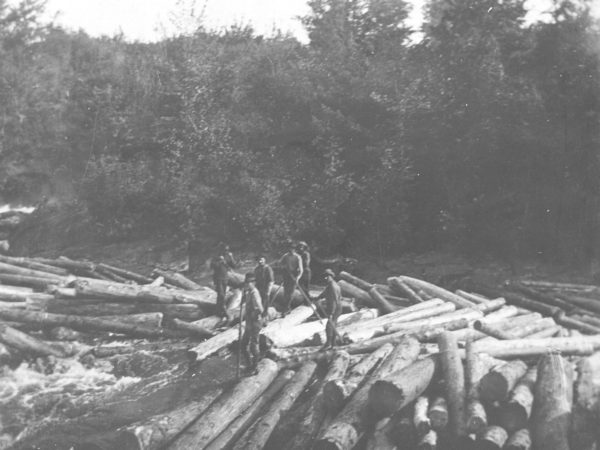 Loggers standing on log pile in the middle of the Racquette River in Colton