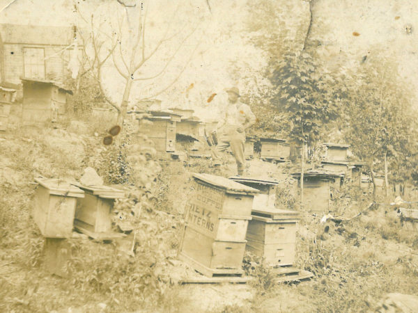 John Crawley’s bee yard in Colton