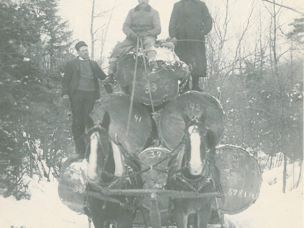 Three men standing on a load of giant logs in Edwards