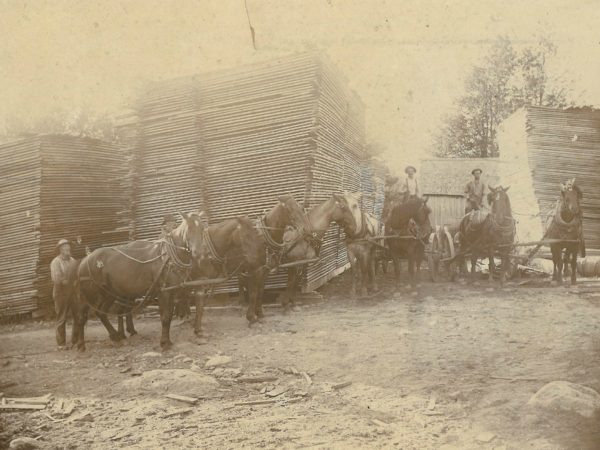 Men with horses in front of lumber stacks at Cardiff and Sons sawmill in Fine