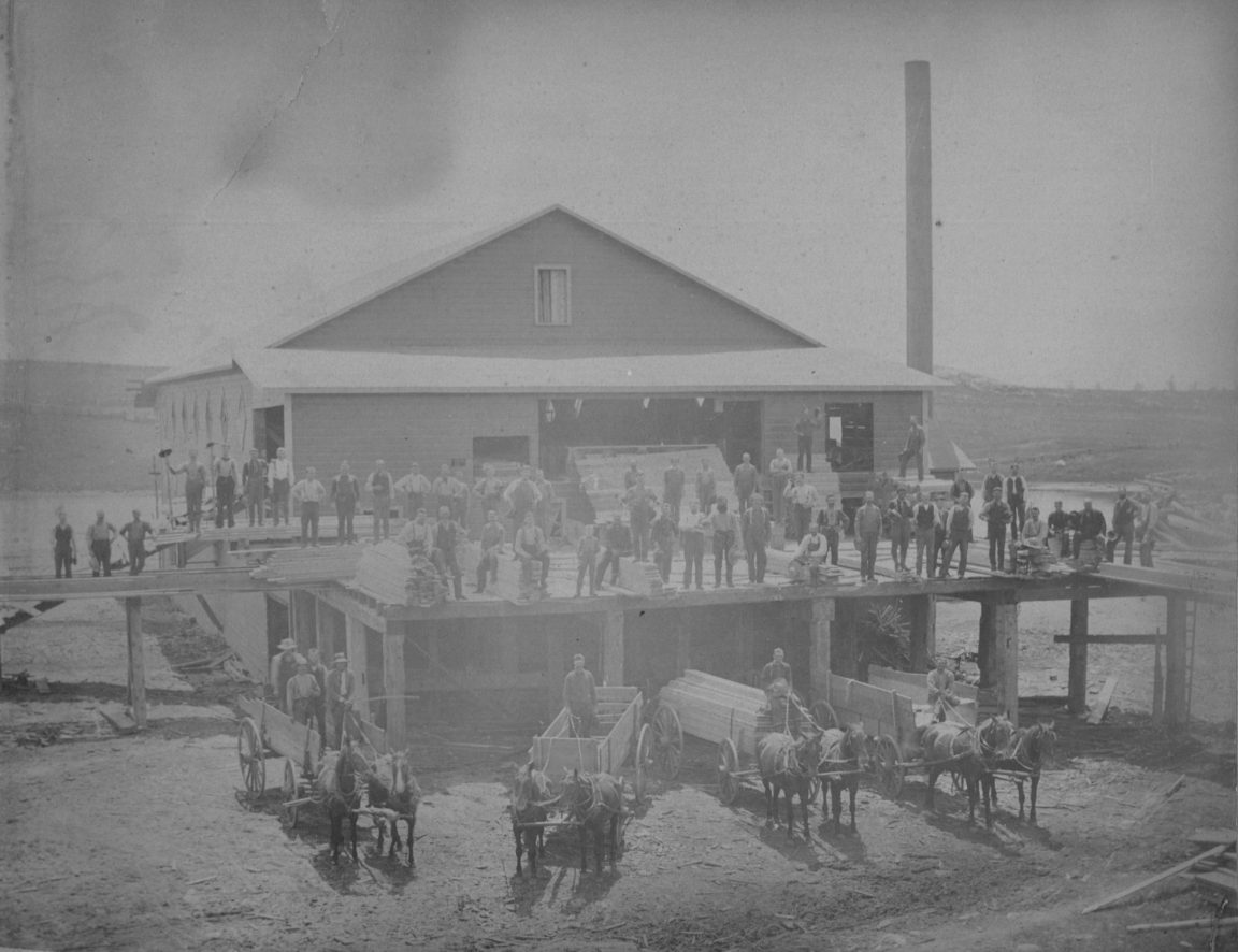 Workers and horse drawn loads of lumber wagons in front of Sullivan’s