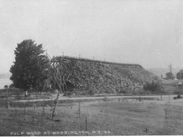 Pulp wood stack in Waddington