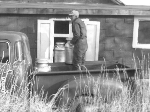 Man dropping off milk in cans at the Russell Cheese Factory in Russell