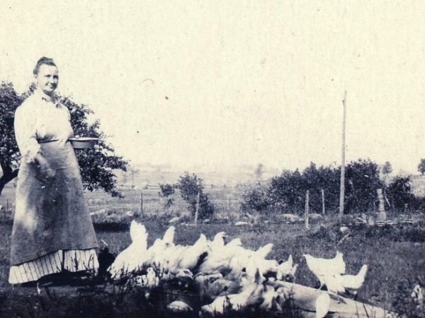 Woman feeding poultry on the Walrath Farm in Hermon