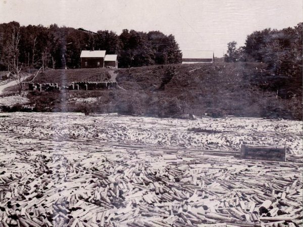 Logs in the St. Regis river in Hopkinton