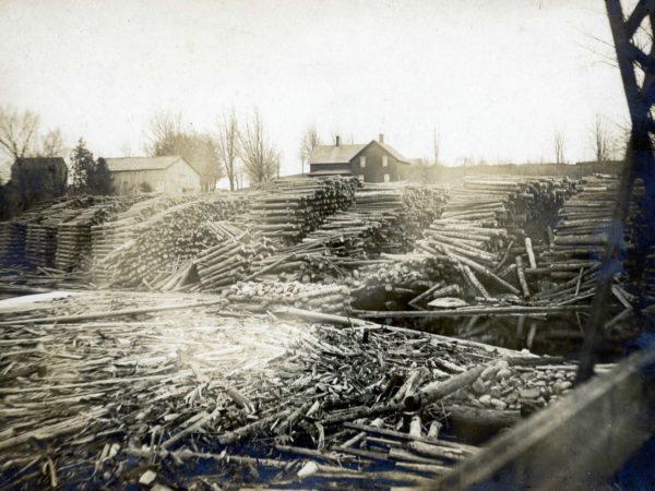 Piles of logs ready for milling at the Day Mill in Hopkinton