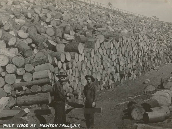 Pulp wood pile and loggers in Newton Falls