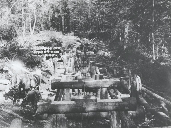 Building a trestle bridge for logging railroad in Cranberry Lake