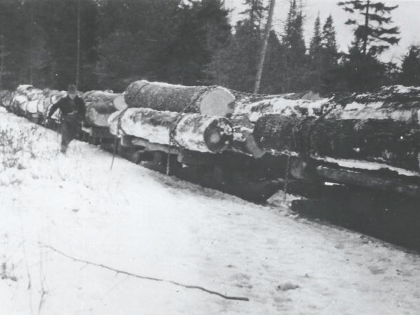 Moving logs out of the woods by train in Cranberry Lake