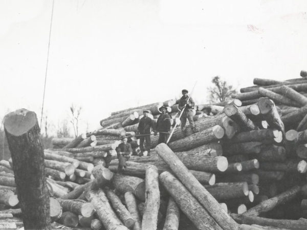 Loggers pose among piled logs in Cranberry Lake