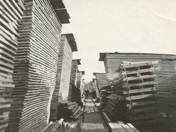 Stacks in the Emporium Forestry Company lumber yard in Cranberry Lake