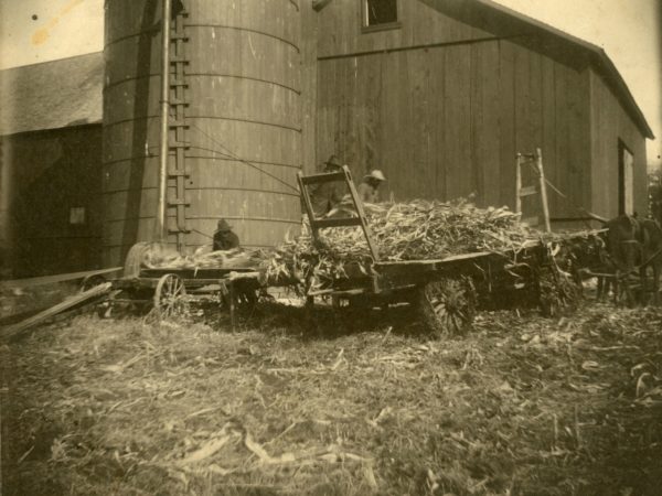 Filling a silo on the Bonnie View homestead in Hermon