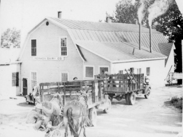 Farmers drop milk at the Hermon Dairy Company in Hermon