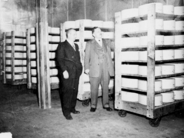 Inspecting cheese inside the Hermon Dairy Company in Hermon