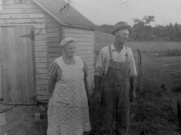 The Thompson chicken yard in Osbornville