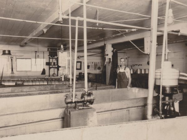 Inside the De Kalb Cheese factory in De Kalb