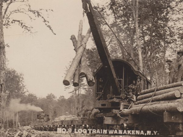 Log train hoisting logs in Wanakena