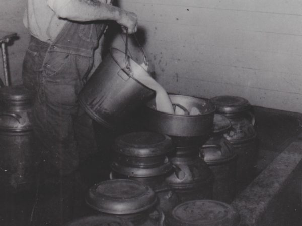 Herbert Thompson filtering milk in De Kalb