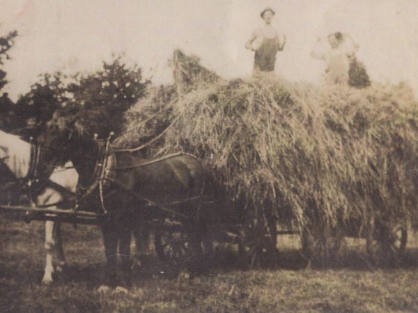 Thompson men pose on top of horse-drawn hay load in Osbornville