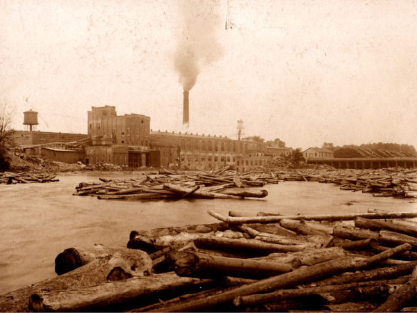 Timber yard at the Racquette River Paper Company in Potsdam