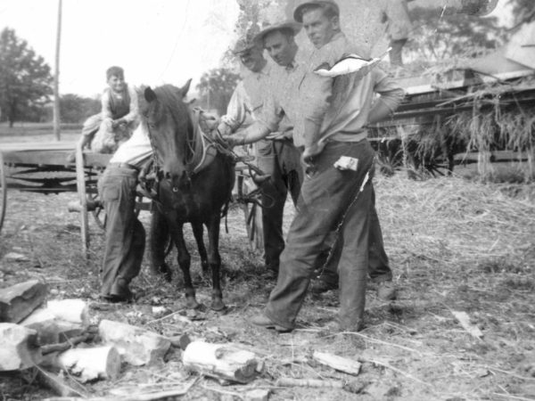 Men with buckboard and small horse in Hammond