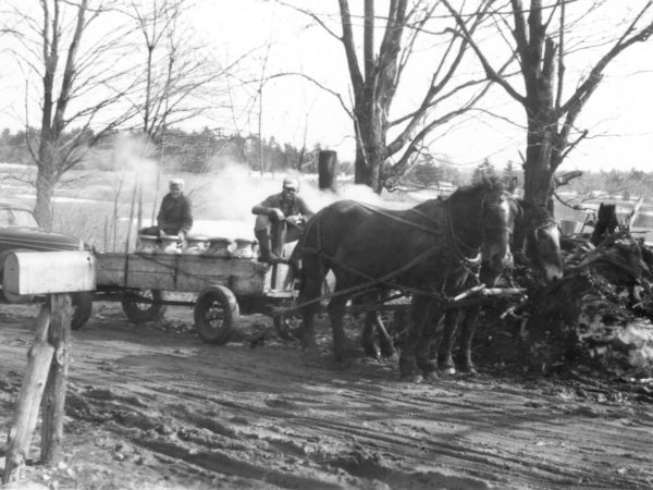 Making maple syrup on the McGregor Farm in Hammond