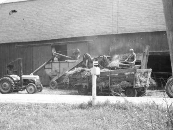 Threshing oats on the McGregor Farm in Hammond