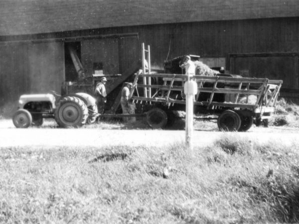 Men threshing oats on the McGregor Farm in Hammond