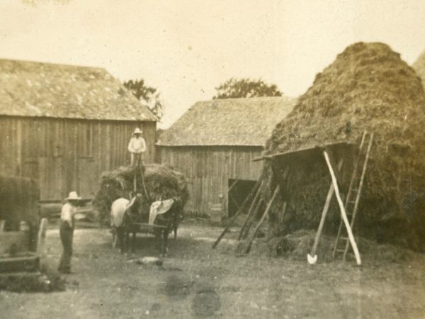 Stacking hay on the Ormiston farm in Hammond