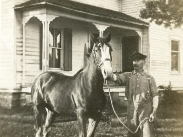 William Ormiston leads horse on the Ormiston homestead in Hammond