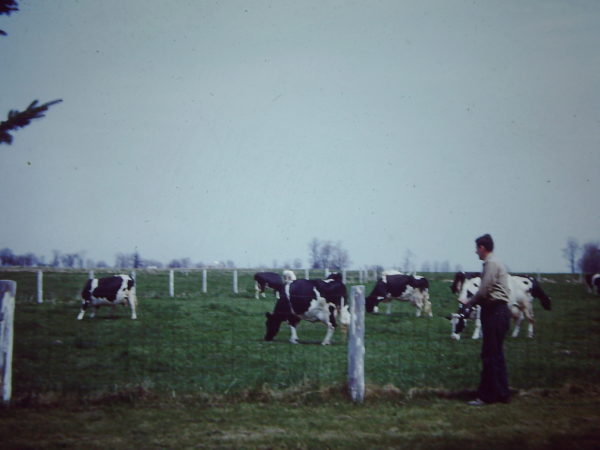 Man next to a cow pasture on the Thompson farm in Lisbon