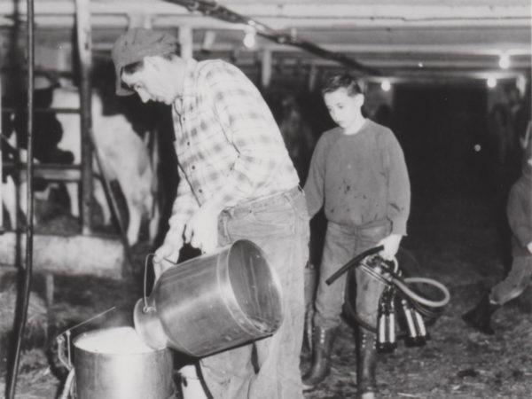 Bob Thompson pouring milk into a pail in Lisbon