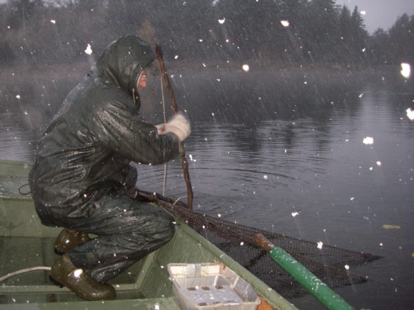 Dan Josephson tending to a trap net in Old Forge