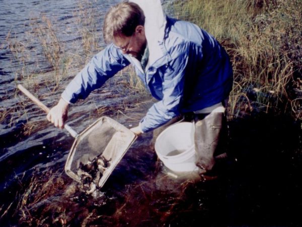 Dan Josephson stocking fall fingerling brook trout in a pond in Old Forge