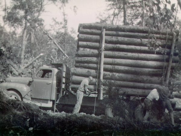 Crew secure a stack of logs in North Hudson