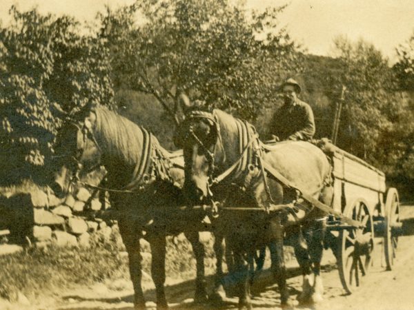 Farmer drives a horse drawn wagon in Long Lake