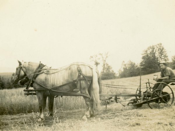 Man eats while haying on the Walker Estate in Long Lake