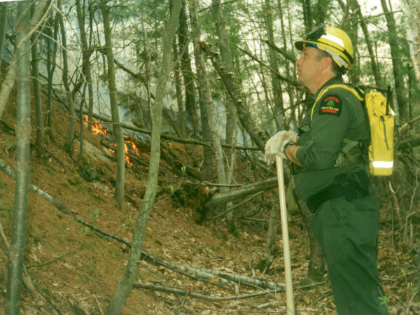 Forest ranger at the site of a wildfire