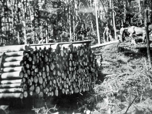 : Logs on a skidway with men and horse in background in Long Lake