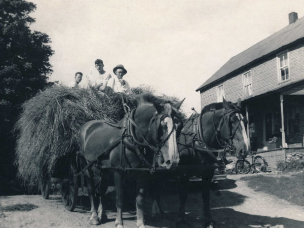 Bringing in a wagon load of hay in Wells