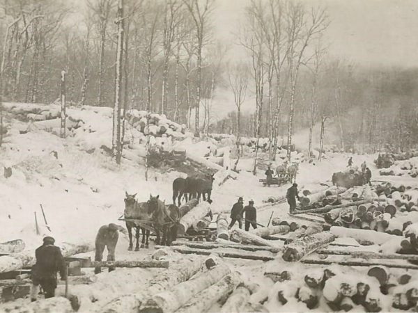 Lumberjacks at work unloading logs at a log yard in Newbridge