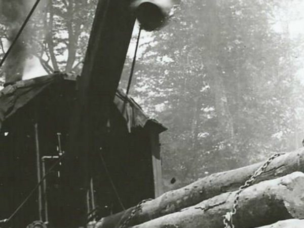 Using a steam loader to hoist logs in Newbridge