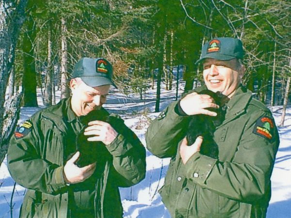 Forest rangers hold black bear cubs in Colton