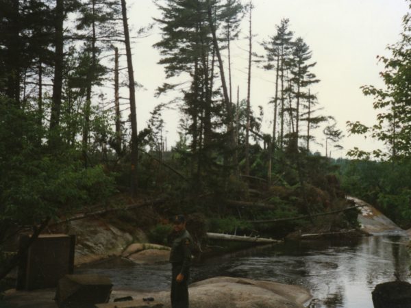 Forest ranger checks downed trees after a storm in Fine