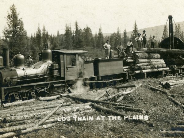 Men on top of a log train at the Plains in Wanakena