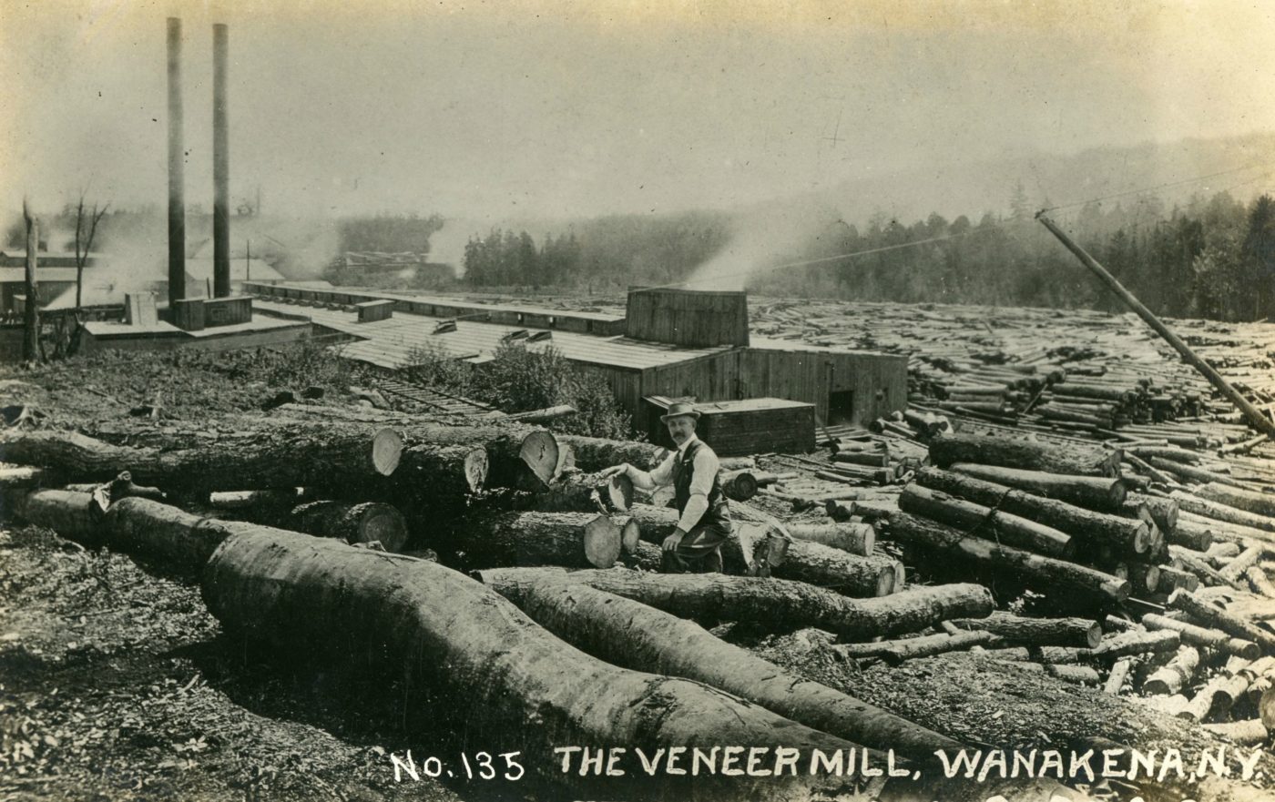 Man among logs outside the veneer mill in Wanakena