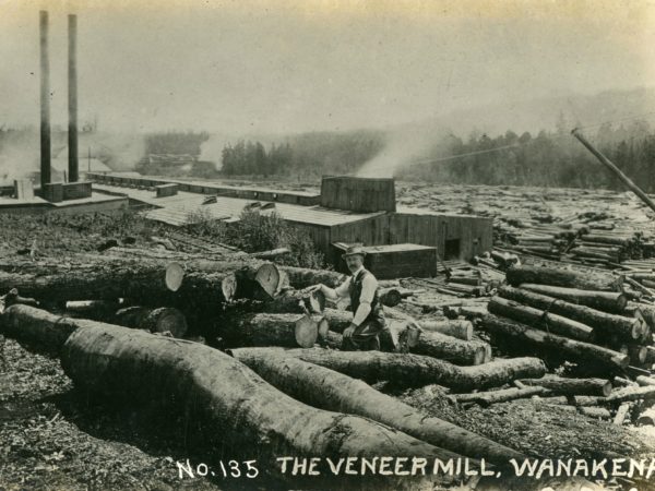 Man among logs outside the veneer mill in Wanakena