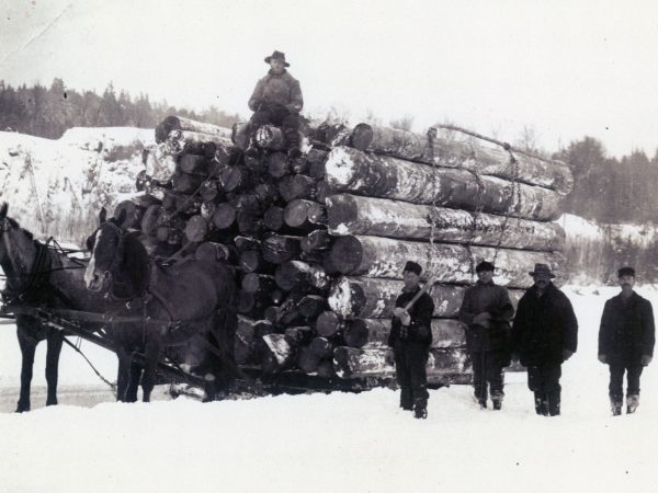 A big load of logs near Harrisville.